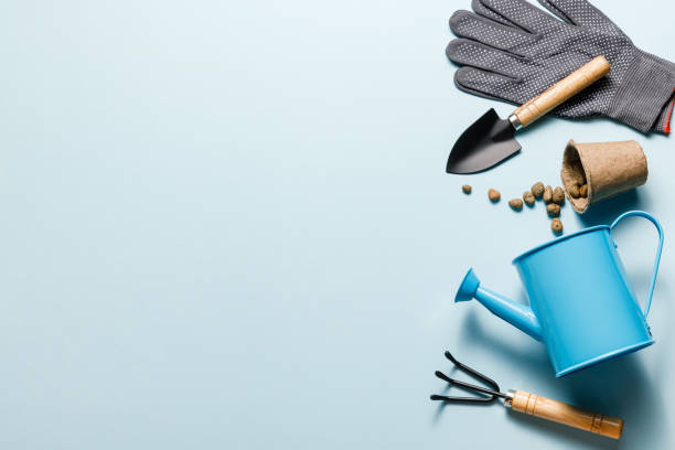 istock Gardening tools on blue background. Spring garden works concept. World environment day, arbor day, International mother day. Top view. Copy space 1304619605