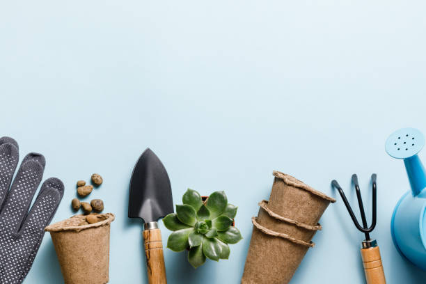 istock Gardening tools on blue background. Spring garden works concept. World environment day, arbor day, International mother day. Top view. Copy space 1304619609