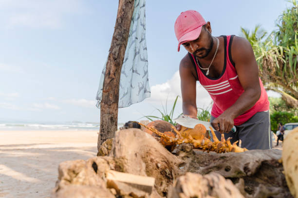 istock A young Sri Lankan man is working on a public beach in Aluthgama, Sri Lanka, preparing fresh coconut drinks for tourists. 1304628921