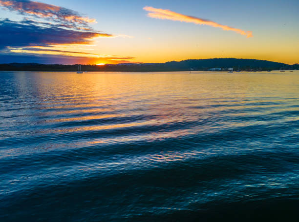 istock Sunrise aerial waterscape over the bay 1304630148