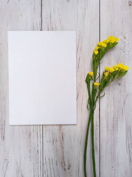 istock Empty white canvas and yellow lemonium flowers on a white wooden background 1304633495