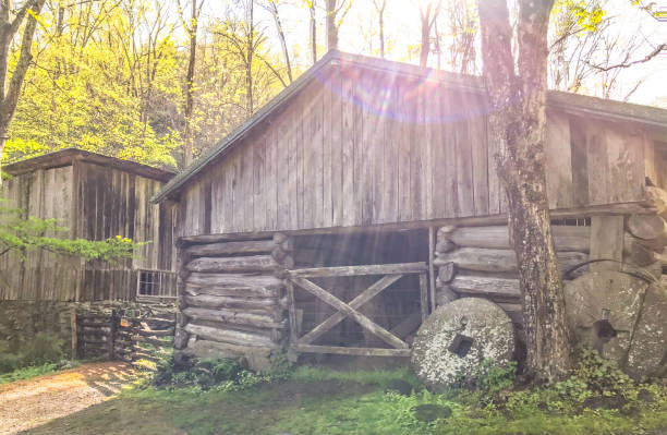 istock Abandoned Farmhouse in Appalachia Mountain 1304641188