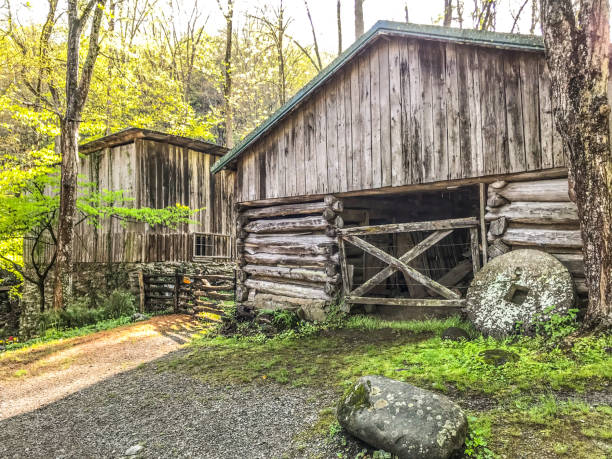 istock Abandoned Farmhouse in Appalachia Mountain 1304641189