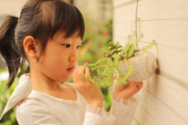 a girl touching her succulent plants with her white bird - happy kid flash imagens e fotografias de stock