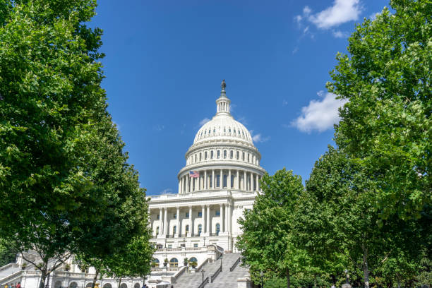 天気のような明るい未来を持つ米国議会議事堂 - capitol hill voting dome state capitol building ストックフォトと画像