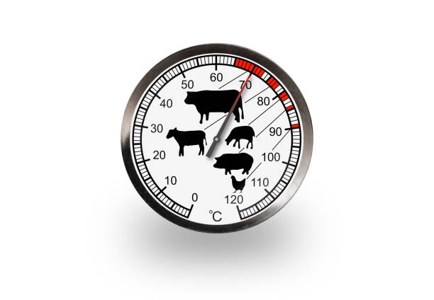 istock Meat thermometer isolated on a white background with soft shadow. The thermometer shows 70 degrees 1304645619