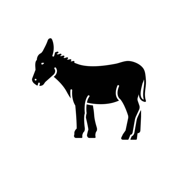 ilustraciones, imágenes clip art, dibujos animados e iconos de stock de burro burro de burro de burro - mulish