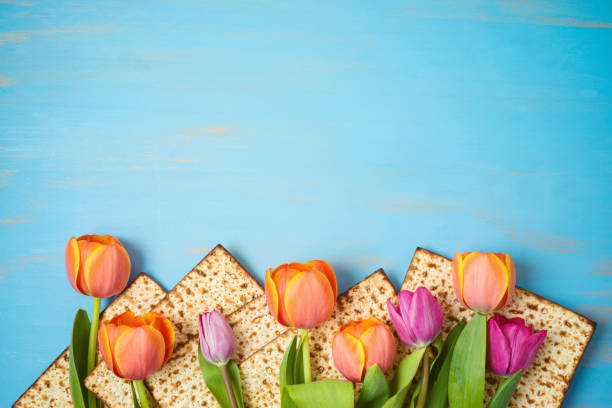 día festivo judío concepto de celebración pascual con matzah y flores de tulipán sobre mesa de madera. antecedentes de pesach - passover fotografías e imágenes de stock