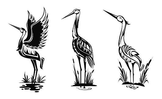 Heron or wader birds vector icons, black hern silhouettes stand in swamp water with reeds isolated on white side view wading in marsh, egrets with ornate body for tattoo design, monochrome emblems set