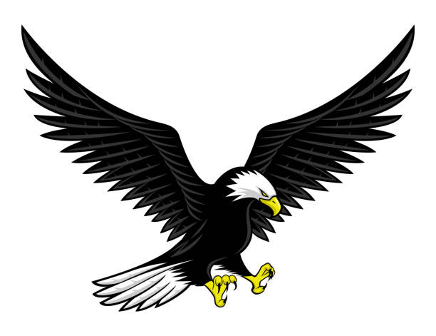Flying bald eagle icon. vector art illustration