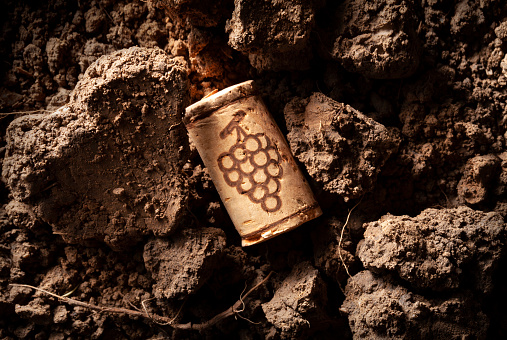 Wine cork on the soil.