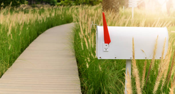 boîte aux lettres en métal blanc ou côté boîte aux lettres de manière en bois avec des fleurs d’herbe - mailbox mail box side view photos et images de collection