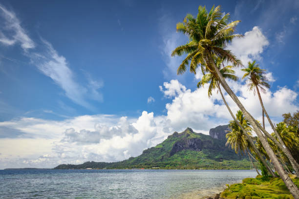 istock Bora Bora Island Beach Mount Otemanu Leeward Islands French Polynesia 1304658092