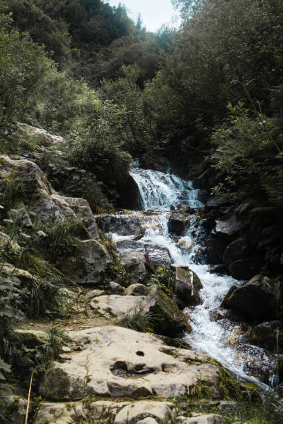 istock view of waterfall in mountains forest 1304658684