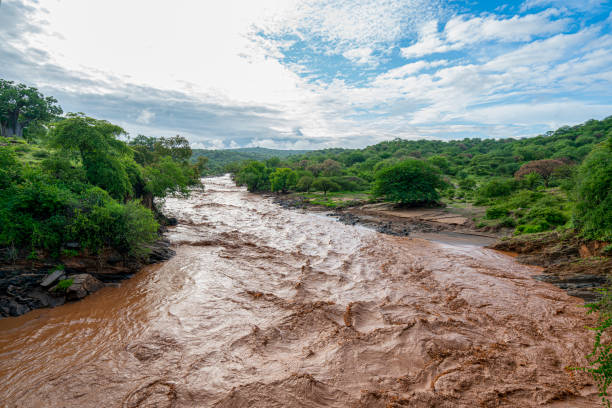 istock Rapid dirty river in Tanzania Africa 1304659592