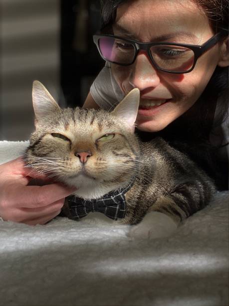 A monochrome close-up of a tabby cat being gently held in human hands, emphasizing textures, contrasts, and the timeless bond of trust and companionship.