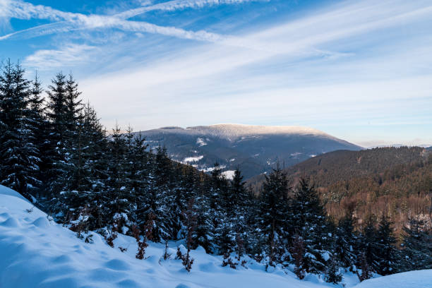 Travny hill in winter Moravskoslezske Beskydy mountains in Czech republic Travny hill from forest road bellow Misaci hill summit above Moravka in winter Moravskoslezske Beskydy mountains in Czech republic moravian silesian beskids photos stock pictures, royalty-free photos & images