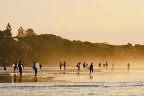Byron Bay Sunset Surfers Horizontal landscape photo of a group of people, seen from a distance, walking on the beach, some of them carrying surfboards, as the afternoon sunset tints the beach, water and coastal forest with gold light. Byron Bay, east coast NSW. byron bay stock pictures, royalty-free photos & images
