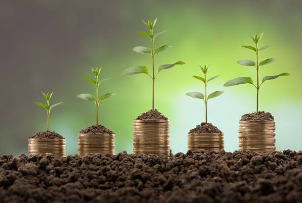 istock Young plants on stacks of coins. 1304668016