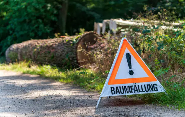 Photo of Warning sign with German text reading tree felling (Baumfällung) in front of a logged tree trunk. Concepts of forestry, arboriculture or deforestation. Attention to the danger from tree cutting work.