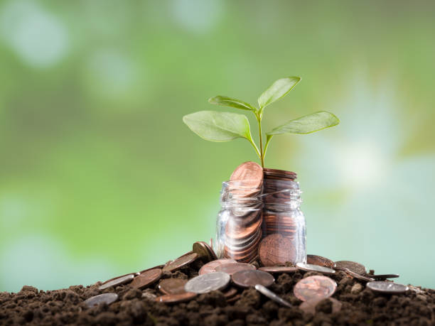 istock Dollars coins and young plant in jar. 1304674638