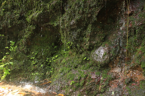 groundwater dripped from the rocks in the cave