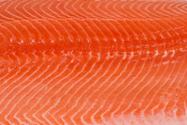 fondo del primer plano del filete de salmón refrigerado - vitamin d salmon fillet raw fotografías e imágenes de stock