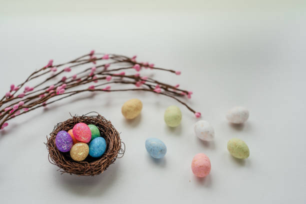 istock Colorful Easter eggs in bird's nest with Easter decorative branches on white background 1304676125