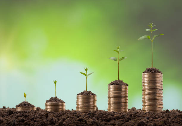 istock Trees on pile of coins money. 1304676269