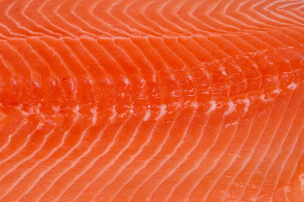 hintergrund des fischfleisches aus lachsfilet aus nächster nähe - vitamin d salmon fillet raw stock-fotos und bilder