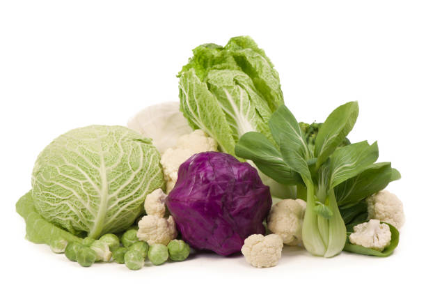 istock Mix of cabbages on white background: white cabbage, red cabbage, Savoy cabbage, Roman cabbage and Brussels sprouts 1304677229