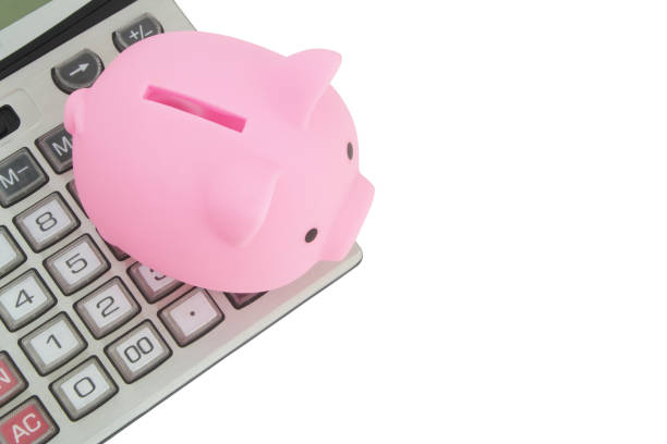 istock Piggy bank and calculator isolated on white 1304677376