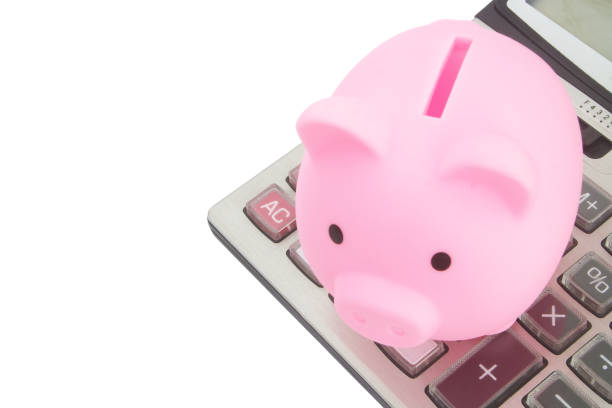 istock Piggy bank and calculator isolated on white 1304677383