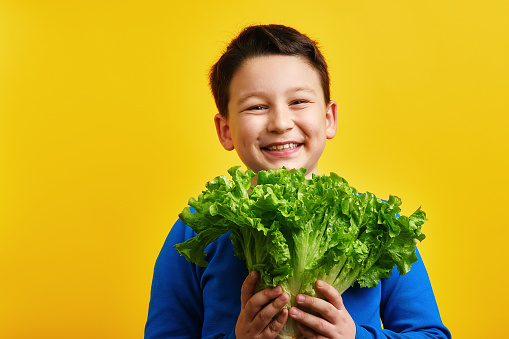 Child holding vegetable on yellow background