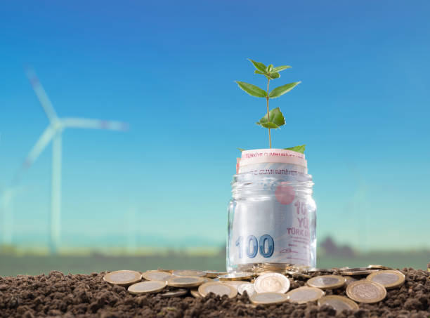 istock Turkish money and young plant in jar 1304677557