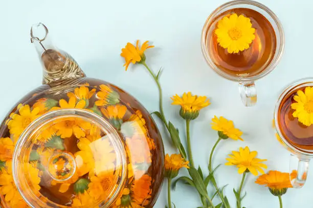 Photo of Cups of herbal tea and transparent teapot with calendula flowers on blue background. Calendula Tea Benefits Your Health concept. Top view Flat lay Copy space