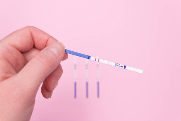 A hand holds a positive pregnancy test on a pink background A hand holds a positive pregnancy test on a pink background ovulation stock pictures, royalty-free photos & images
