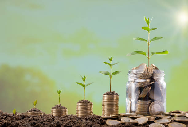 istock Young plants grow on the coins 1304680302