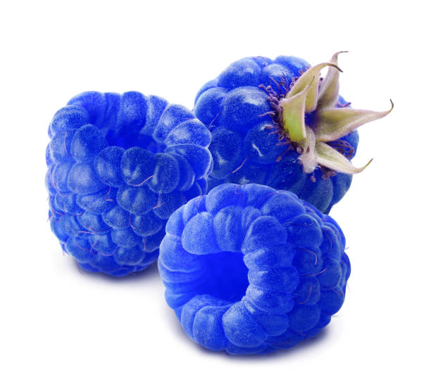 istock Fresh tasty blue raspberries on white background 1304680589