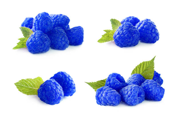 istock Set of fresh blue raspberries on white background 1304680591