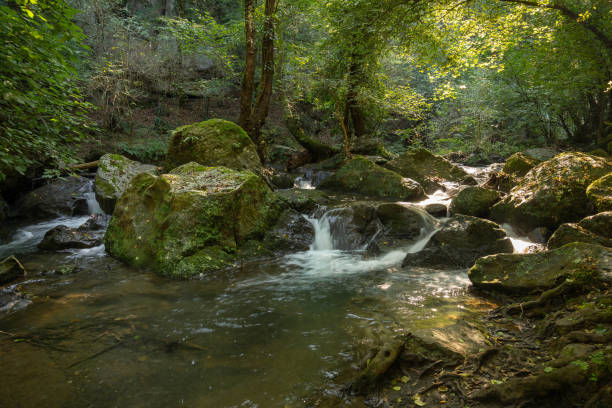 istock Waterfall Monte Gelato in Lazio, Italy 1304682052
