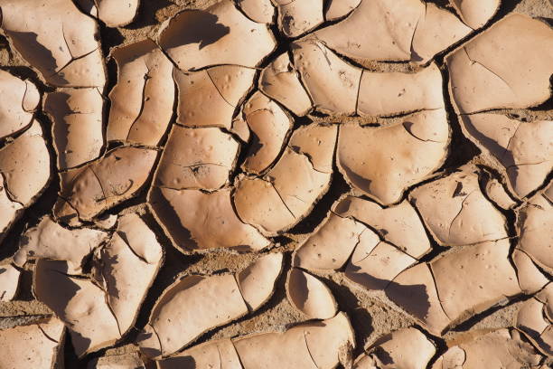 istock Dry cracked earth in a riverbed 1304682225