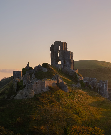 Dawn in the English countryside, and the Autumn sun falls on the walls and battlements of the historic landmark that is Corfe Castle in Dorset, England.
