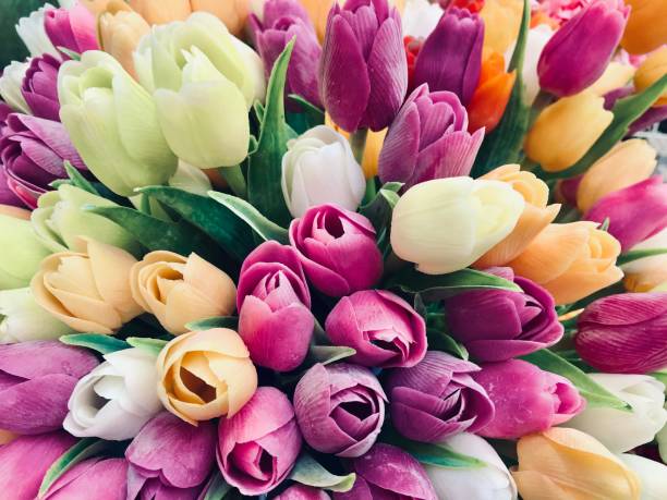 istock Tulips flower bouquet 1304686700
