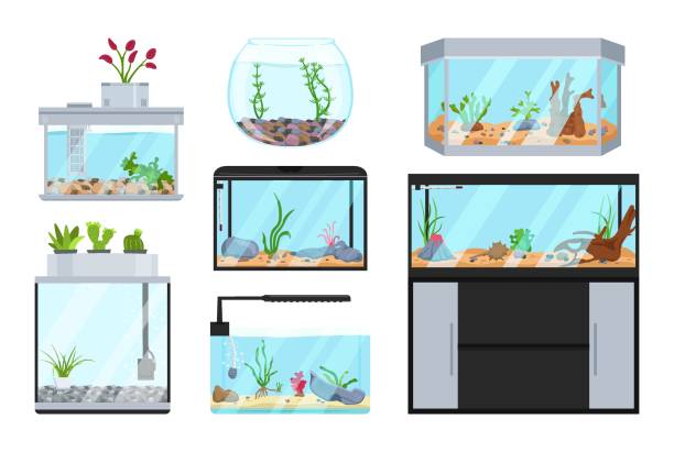 Beautiful fish tanks set Beautiful fish tanks set. Different types. Aquarium collection. Exotic pet in your house. Editable vector illustration isolated on a white background. Colorful cartoon flat style. Graphic design fish tank stock illustrations