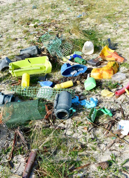 istock Beach with plastic pollution on sand. Rias Baixas, Galicia, Spain. 1304688080