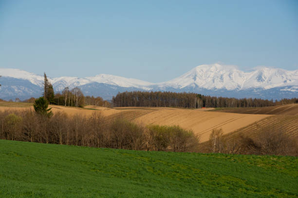 istock Upland fields and snowy mountains on a sunny spring day 1304688931