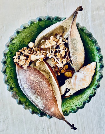 Vertical up close high up directly below aerial of still life green ceramic bowl holding tree seed pods dried flower seeds and sea shells on neutral background