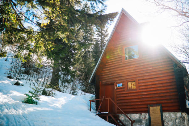istock Mountain cabin in the snowy woods 1304690719