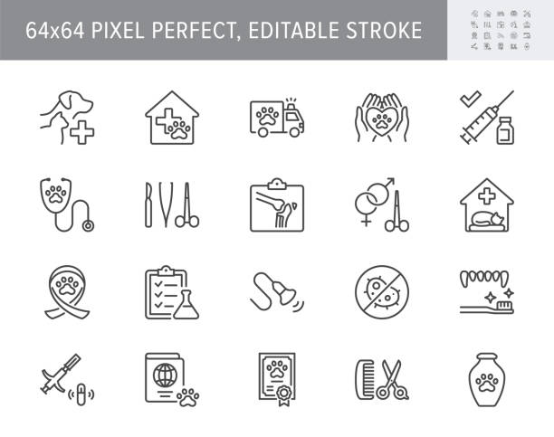 illustrations, cliparts, dessins animés et icônes de icônes de ligne vétérinaire. l’illustration de vecteur incluent l’icône - stéthoscope, toilettage, , rayon x, ultrason, vaccination, pictogramme de contour de stérilisation pour la clinique vétérinaire. 64x64 pixel perfect, course modifiable - comportement animal
